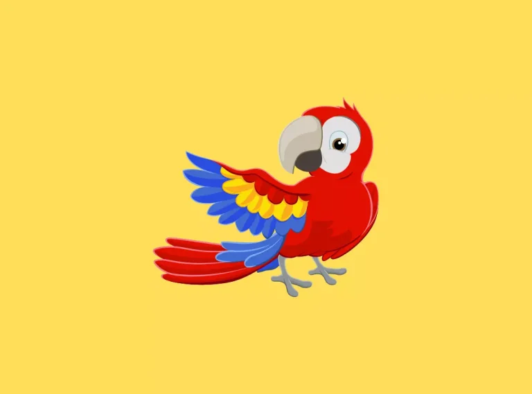 40 Hilarious Parrot Jokes