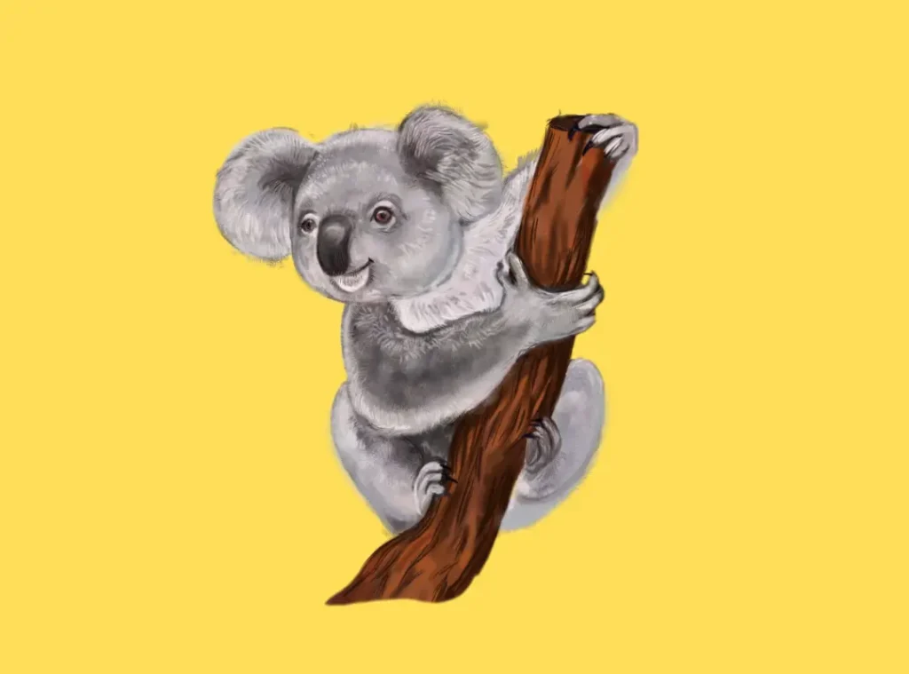 koala jokes