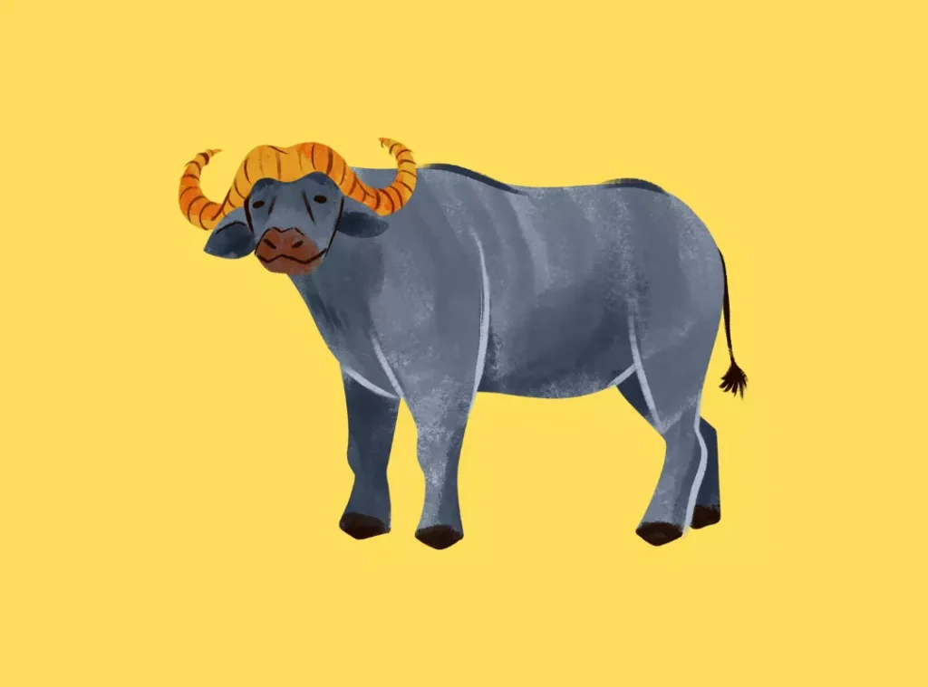buffalo jokes